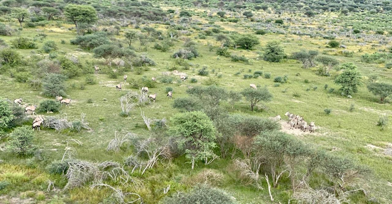 Kifaru Luxury Lodge Outjo Exterior photo